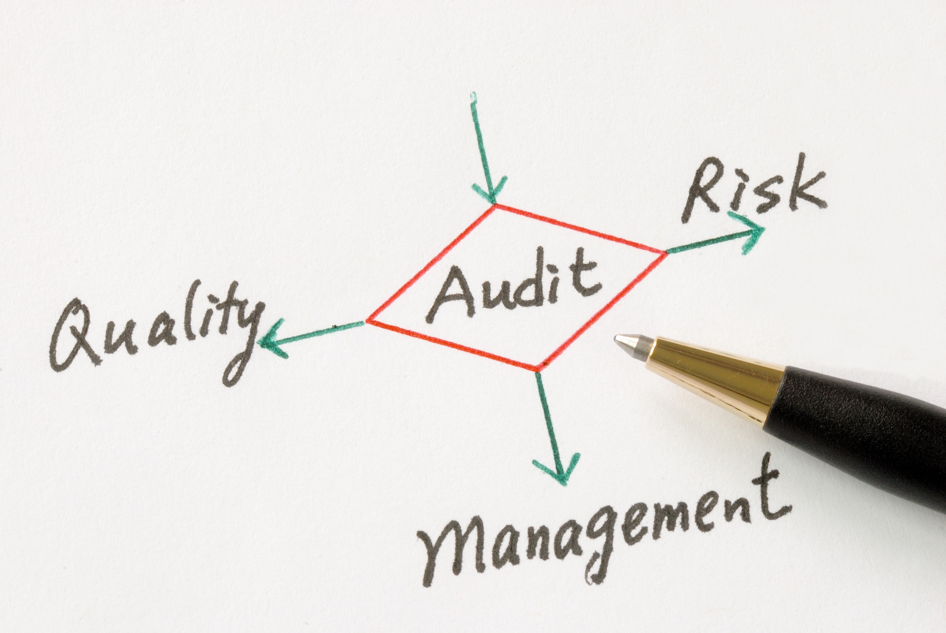 Audit software for credit unions from redboard